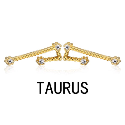 KAKODIY Aquarius Stud Earrings with Zircon 925 Sterling Silver Stud Christmas Gift Luxury Earrings Fashion