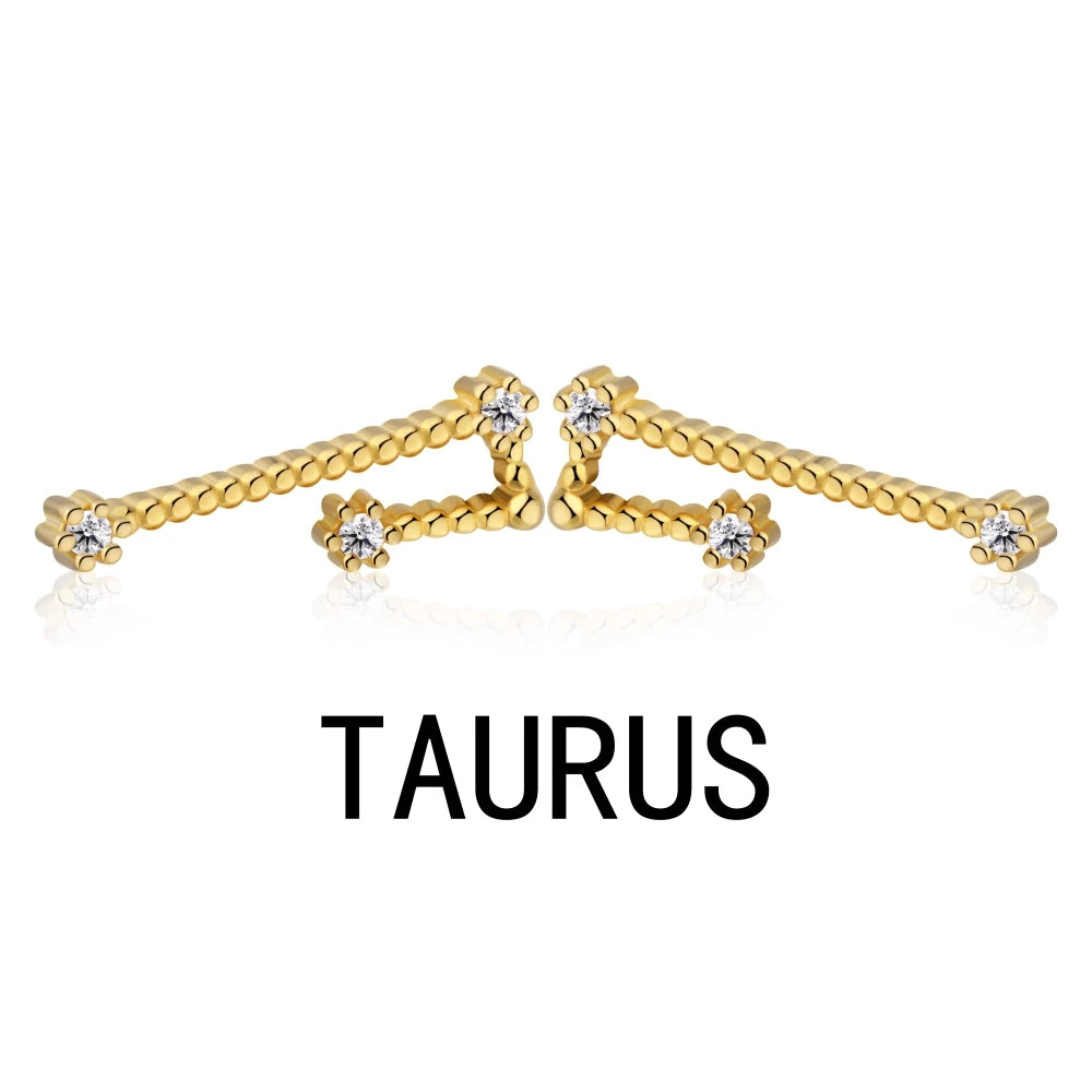 KAKODIY Aquarius Stud Earrings with Zircon 925 Sterling Silver Stud Christmas Gift Luxury Earrings Fashion - product image 5
