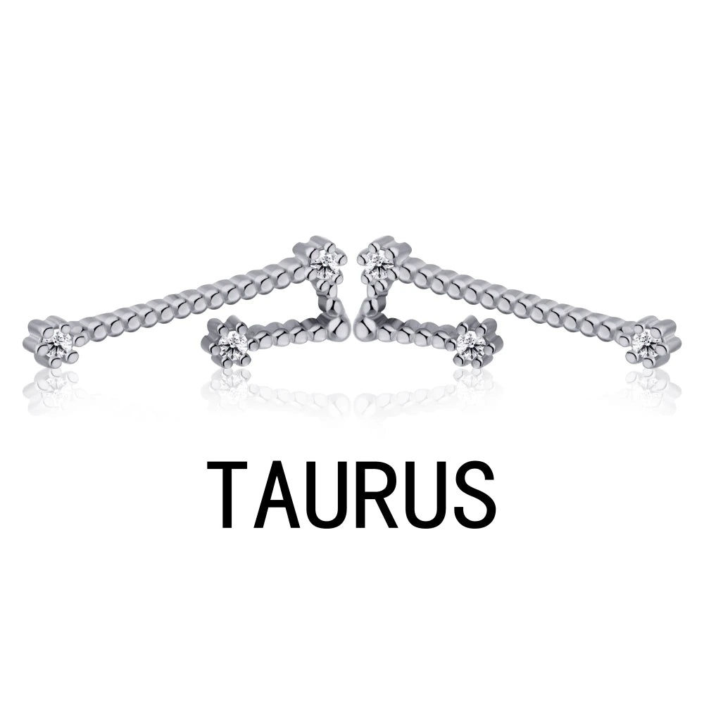 KAKODIY Aquarius Stud Earrings with Zircon 925 Sterling Silver Stud Christmas Gift Luxury Earrings Fashion