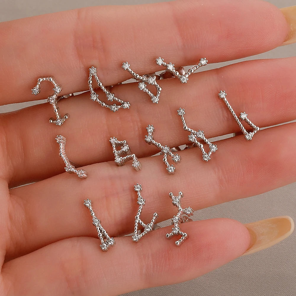 KAKODIY Aquarius Stud Earrings with Zircon 925 Sterling Silver Stud Christmas Gift Luxury Earrings Fashion - product image 2