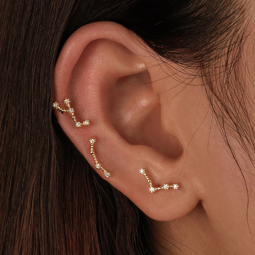 KAKODIY Sagittarius Stud Earrings 2021 Zircon 925 Sterling Silver Earrings For Women Luxury Earrings Fashion - product image 5