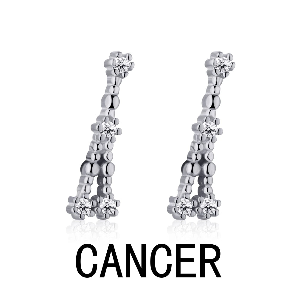 KAKODIY Aquarius Stud Earrings with Zircon 925 Sterling Silver Stud Christmas Gift Luxury Earrings Fashion