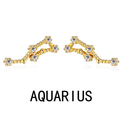 KAKODIY Aquarius Stud Earrings with Zircon 925 Sterling Silver Stud Christmas Gift Luxury Earrings Fashion