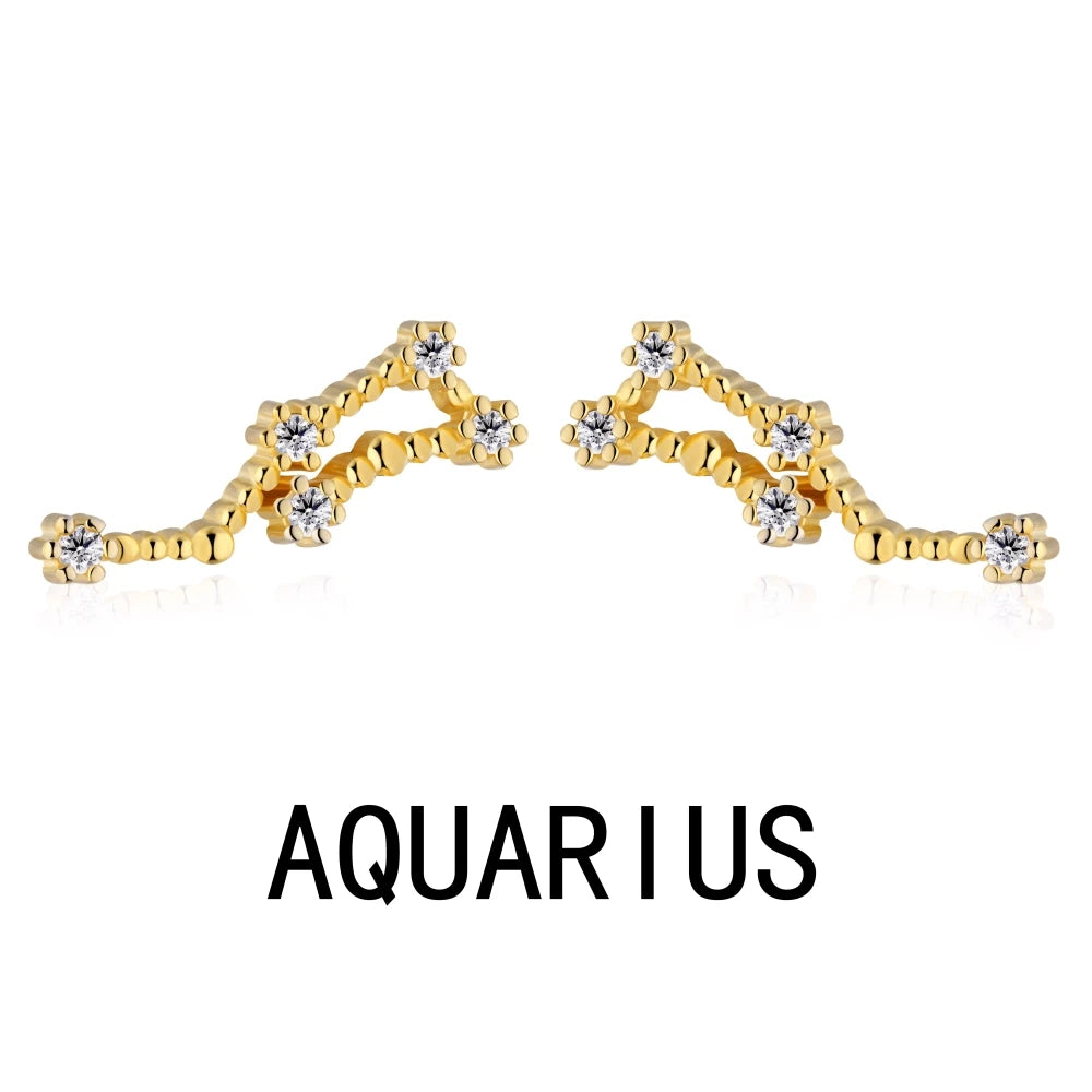 KAKODIY Sagittarius Stud Earrings 2021 Zircon 925 Sterling Silver Earrings For Women Luxury Earrings Fashion