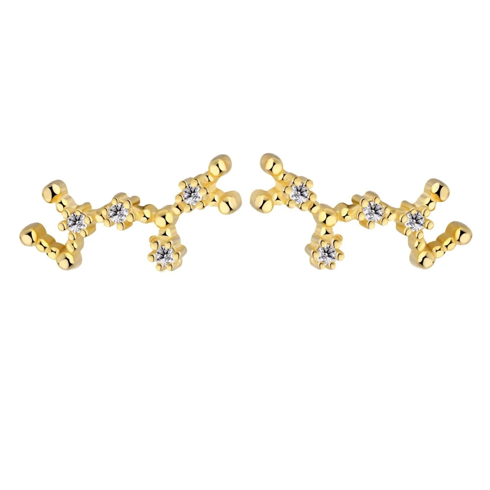KAKODIY Sagittarius Stud Earrings 2021 Zircon 925 Sterling Silver Earrings For Women Luxury Earrings Fashion - product image 1