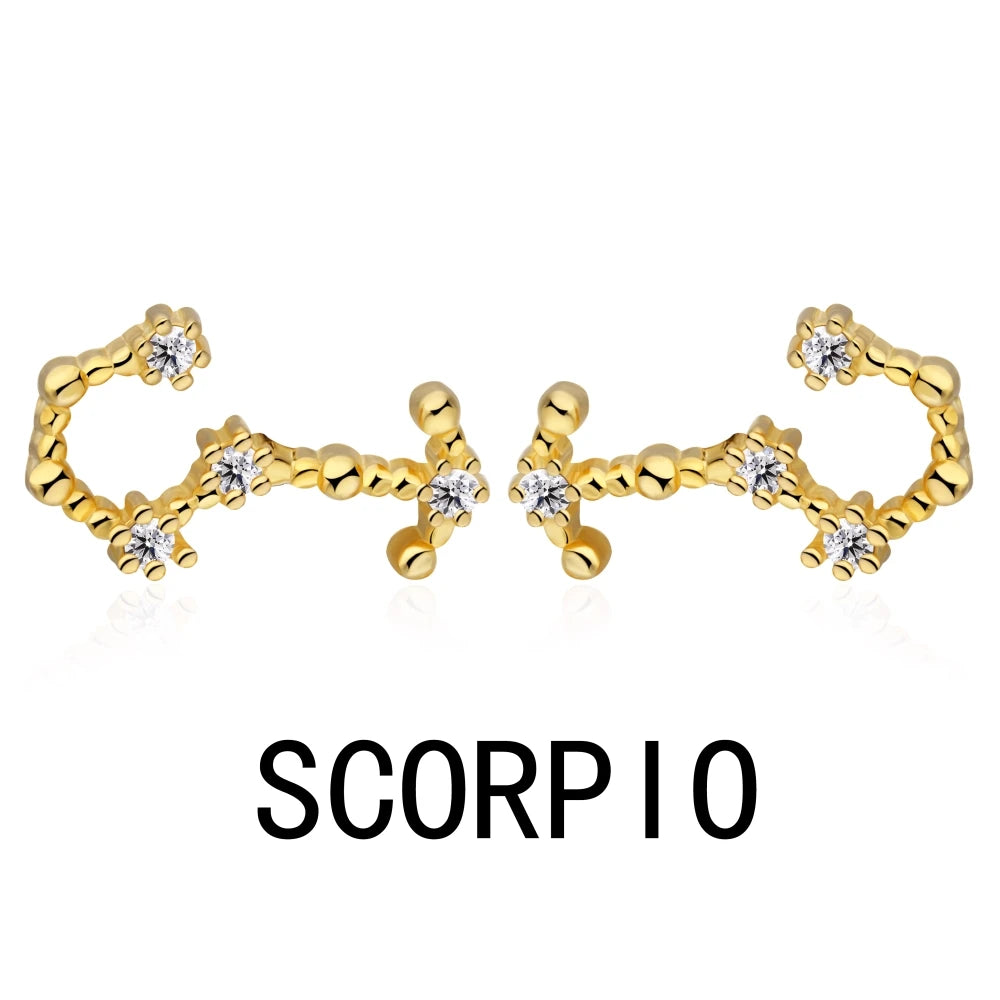 KAKODIY Aquarius Stud Earrings with Zircon 925 Sterling Silver Stud Christmas Gift Luxury Earrings Fashion