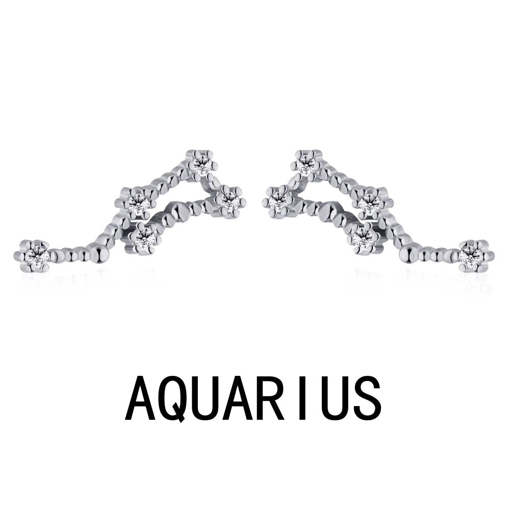 KAKODIY Aquarius Stud Earrings with Zircon 925 Sterling Silver Stud Christmas Gift Luxury Earrings Fashion - product image 1