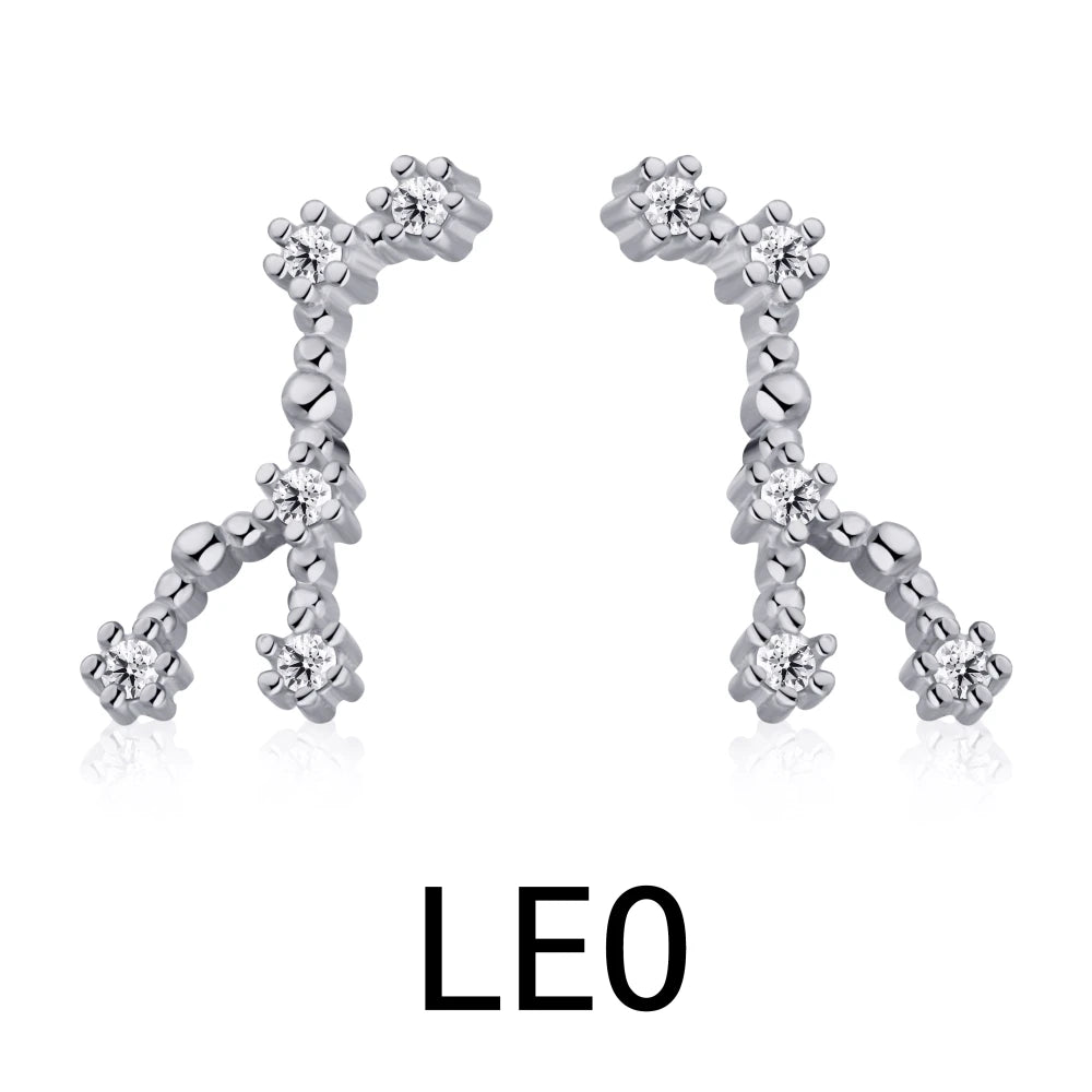 KAKODIY Aquarius Stud Earrings with Zircon 925 Sterling Silver Stud Christmas Gift Luxury Earrings Fashion