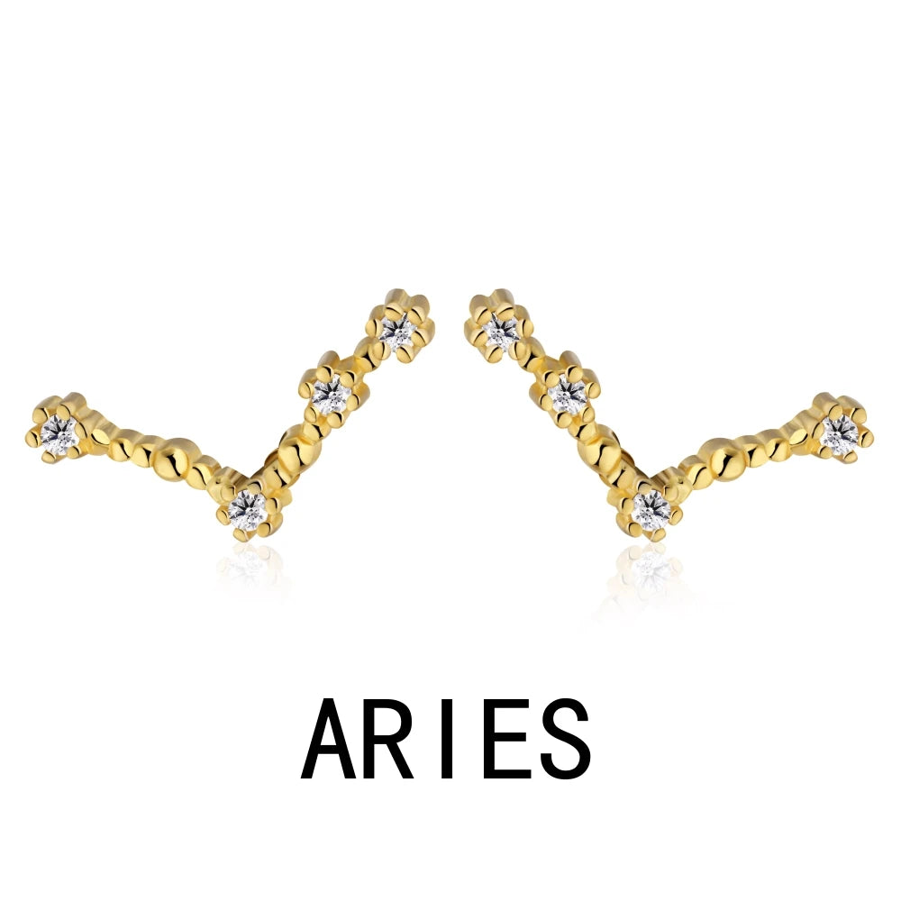 KAKODIY Aquarius Stud Earrings with Zircon 925 Sterling Silver Stud Christmas Gift Luxury Earrings Fashion
