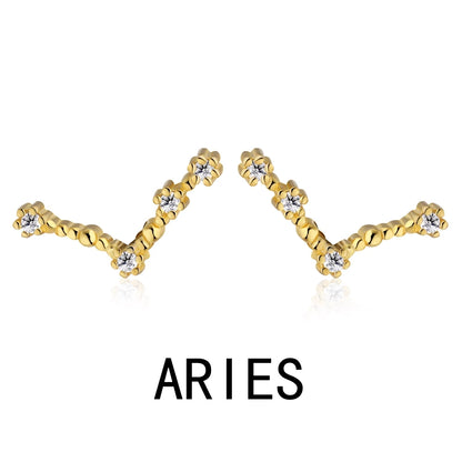 KAKODIY Aquarius Stud Earrings with Zircon 925 Sterling Silver Stud Christmas Gift Luxury Earrings Fashion