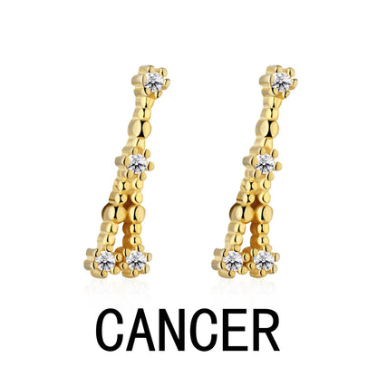 KAKODIY Aquarius Stud Earrings with Zircon 925 Sterling Silver Stud Christmas Gift Luxury Earrings Fashion