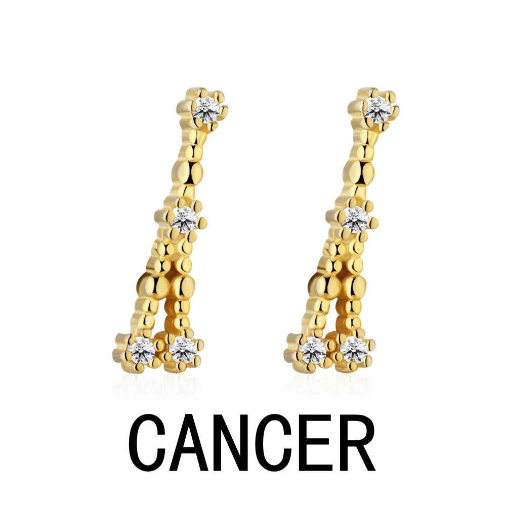 KAKODIY Sagittarius Stud Earrings 2021 Zircon 925 Sterling Silver Earrings For Women Luxury Earrings Fashion